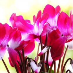 秋冬の快適なお出かけに!!